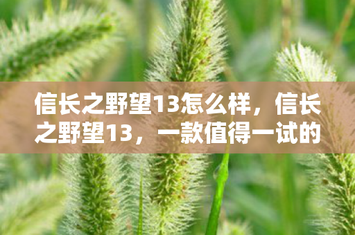 信长之野望13怎么样,信长之野望13,一款值得一试的策略游戏 信长之野望13怎么样,信长之野望13,一款值得一试的策略游戏