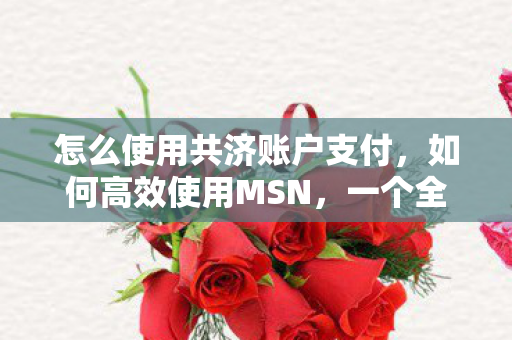 怎么使用共济账户支付,如何高效使用MSN,一个全面的指南 怎么使用共济账户支付,如何高效使用MSN,一个全面的指南