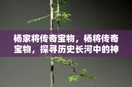 杨家将传奇宝物,杨将传奇宝物,探寻历史长河中的神秘瑰宝 杨家将传奇宝物,杨将传奇宝物,探寻历史长河中的神秘瑰宝