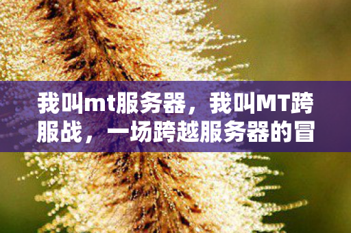 我叫mt服务器,我叫MT跨服战,一场跨越服务器的冒险之旅 我叫mt服务器,我叫MT跨服战,一场跨越服务器的冒险之旅