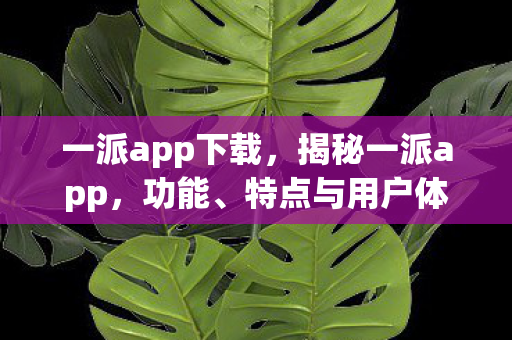 一派app下载，揭秘一派app，功能、特点与用户体验