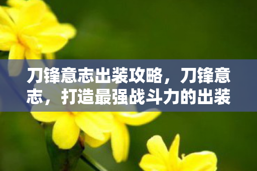 刀锋意志出装攻略,刀锋意志,打造最强战斗力的出装指南 刀锋意志出装攻略,刀锋意志,打造最强战斗力的出装指南