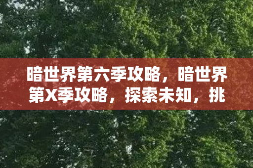 暗世界第六季攻略，暗世界第X季攻略，探索未知，挑战极限