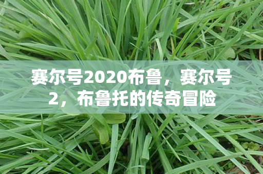 赛尔号2020布鲁，赛尔号2，布鲁托的传奇冒险