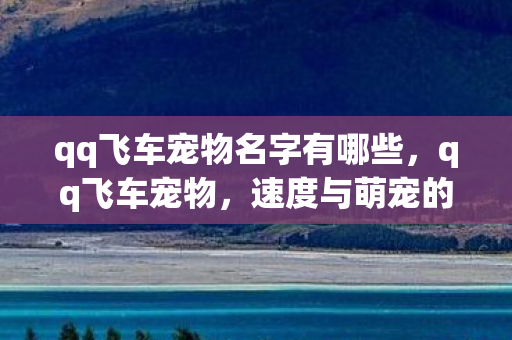 qq飞车宠物名字有哪些,qq飞车宠物,速度与萌宠的完美结合 qq飞车宠物名字有哪些,qq飞车宠物,速度与萌宠的完美结合