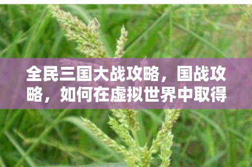 全民三国大战攻略,国战攻略,如何在虚拟世界中取得胜利 全民三国大战攻略,国战攻略,如何在虚拟世界中取得胜利