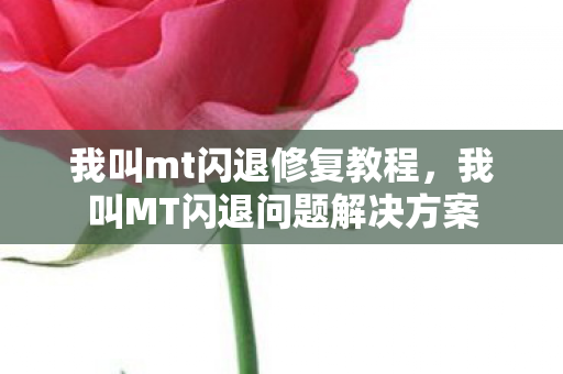我叫mt闪退修复教程，我叫MT闪退问题解决方案