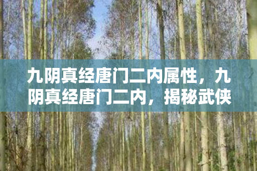 九阴真经唐门二内属性，九阴真经唐门二内，揭秘武侠世界的神秘内功