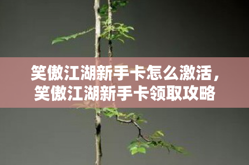 笑傲江湖新手卡怎么激活，笑傲江湖新手卡领取攻略