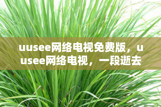 uusee网络电视免费版，uusee网络电视，一段逝去的网络娱乐时光