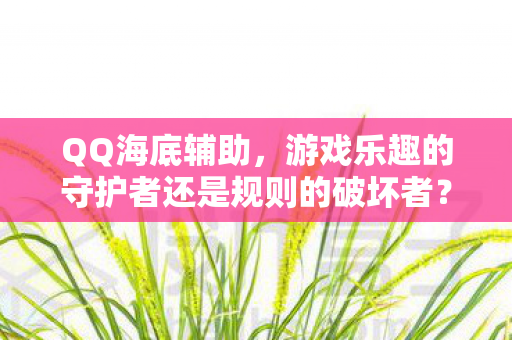 QQ海底辅助，游戏乐趣的守护者还是规则的破坏者？