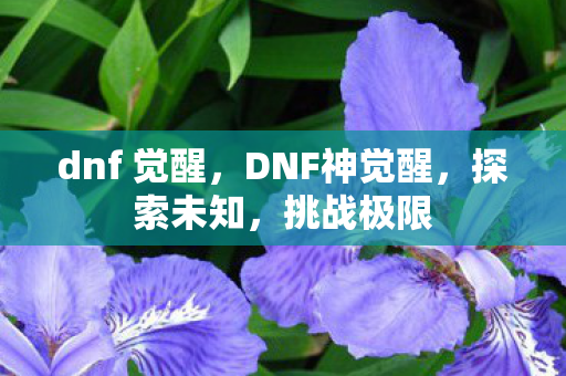 dnf 觉醒，DNF神觉醒，探索未知，挑战极限