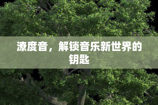 潦度音,解锁音乐新世界的钥匙 潦度音,解锁音乐新世界的钥匙