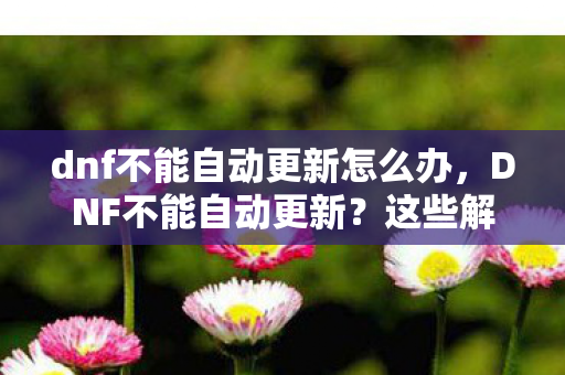 dnf不能自动更新怎么办，DNF不能自动更新？这些解决方案帮你轻松搞定！