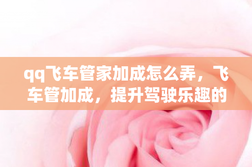 qq飞车管家加成怎么弄，飞车管加成，提升驾驶乐趣的必备神器