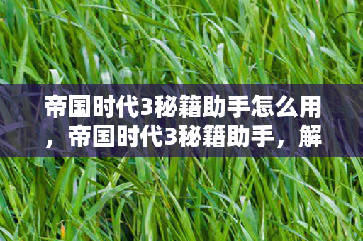 帝国时代3秘籍助手怎么用，帝国时代3秘籍助手，解锁游戏新境界的必备工具