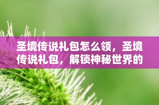 圣境传说礼包怎么领,圣境传说礼包,解锁神秘世界的钥匙 圣境传说礼包怎么领,圣境传说礼包,解锁神秘世界的钥匙