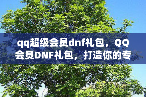 qq超级会员dnf礼包，QQ会员DNF礼包，打造你的专属游戏王国