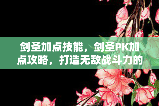 剑圣加点技能，剑圣PK加点攻略，打造无敌战斗力的关键