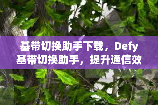 基带切换助手下载，Defy基带切换助手，提升通信效率的神器