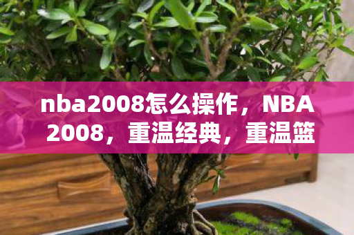 nba2008怎么操作，NBA 2008，重温经典，重温篮球传奇