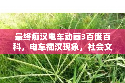 最终痴汉电车动画3百度百科，电车痴汉现象，社会文化的另类观察