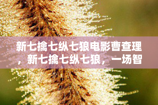 新七擒七纵七狼电影曹查理,新七擒七纵七狼,一场智慧与勇气的较量 新七擒七纵七狼电影曹查理,新七擒七纵七狼,一场智慧与勇气的较量