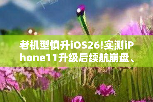 老机型慎升iOS26!实测iPhone11升级后续航崩盘、性，老机APP，连接过去与未来的时光机