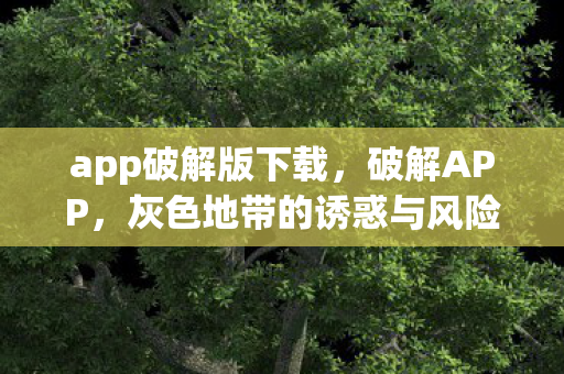 app破解版下载,破解APP,灰色地带的诱惑与风险 app破解版下载,破解APP,灰色地带的诱惑与风险