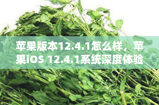 苹果版本12.4.1怎么样，苹果iOS 12.4.1系统深度体验评测