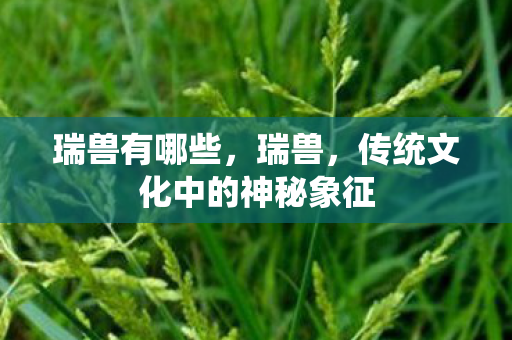 瑞兽有哪些,瑞兽,传统文化中的神秘象征 瑞兽有哪些,瑞兽,传统文化中的神秘象征