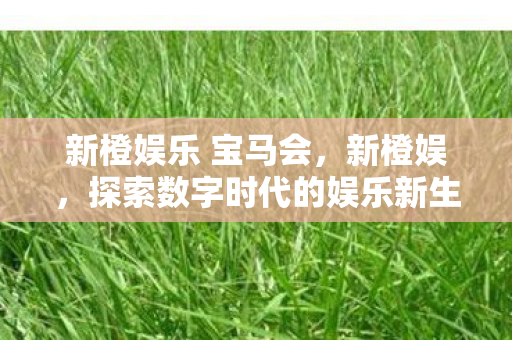 新橙娱乐 宝马会,新橙娱,探索数字时代的娱乐新生态 新橙娱乐 宝马会,新橙娱,探索数字时代的娱乐新生态