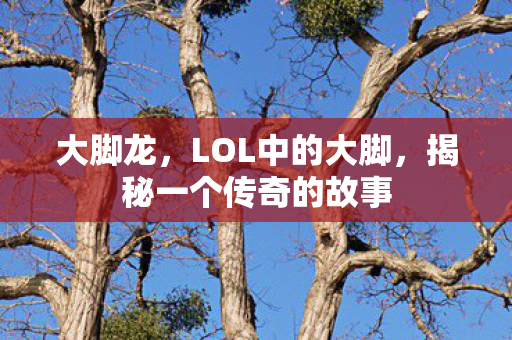 大脚龙，LOL中的大脚，揭秘一个传奇的故事
