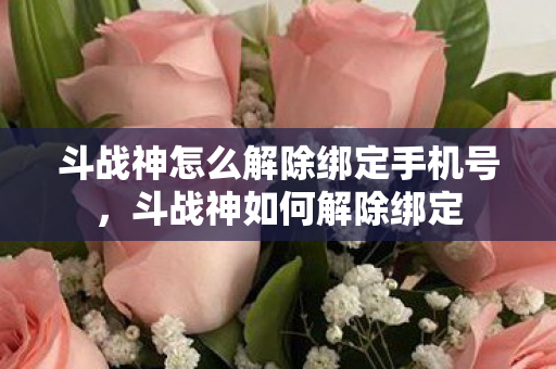 斗战神怎么解除绑定手机号，斗战神如何解除绑定