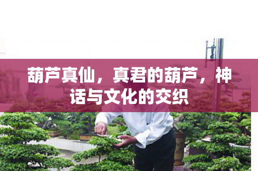 葫芦真仙，真君的葫芦，神话与文化的交织