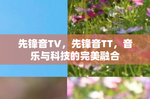 先锋音TV,先锋音TT,音乐与科技的完美融合 先锋音TV,先锋音TT,音乐与科技的完美融合
