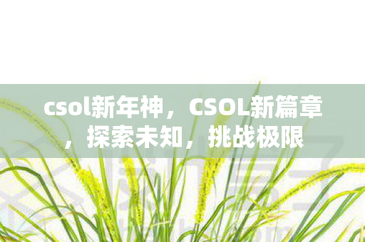 csol新年神，CSOL新篇章，探索未知，挑战极限