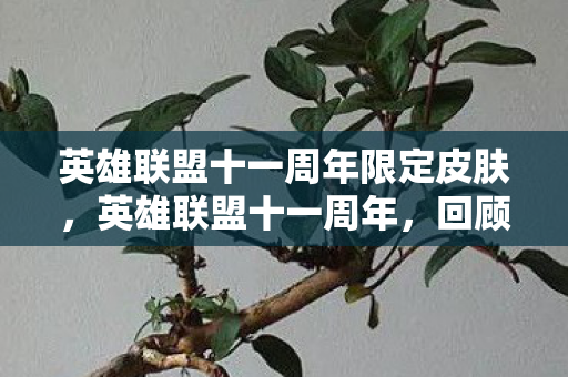 英雄联盟十一周年限定皮肤，英雄联盟十一周年，回顾与前瞻