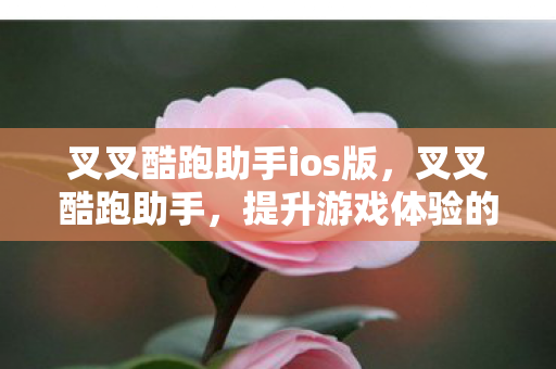 叉叉酷跑助手ios版，叉叉酷跑助手，提升游戏体验的实用工具