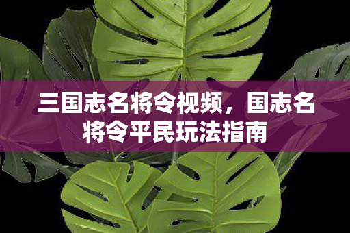 三国志名将令视频，国志名将令平民玩法指南
