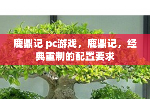 鹿鼎记 pc游戏，鹿鼎记，经典重制的配置要求