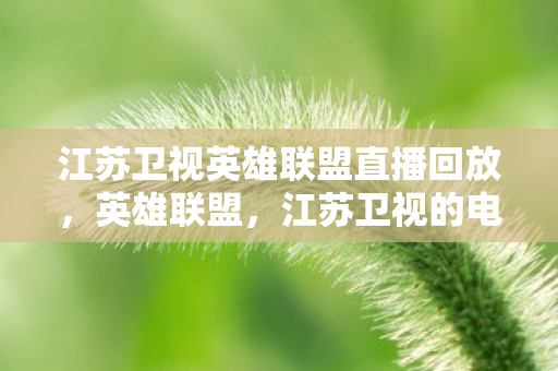 江苏卫视英雄联盟直播回放，英雄联盟，江苏卫视的电竞盛宴