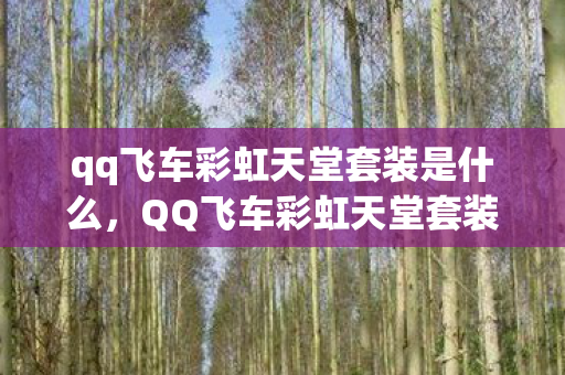 qq飞车彩虹天堂套装是什么，QQ飞车彩虹天堂套装，梦幻与速度的完美结合