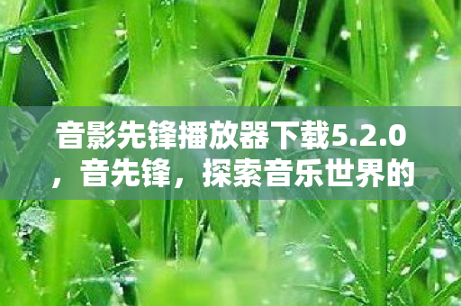 音影先锋播放器下载5.2.0，音先锋，探索音乐世界的最新资源
