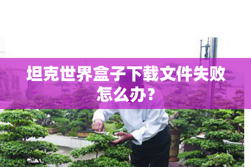 坦克世界盒子下载文件失败怎么办？