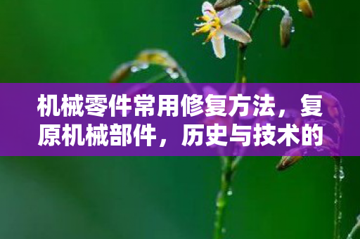机械零件常用修复方法，复原机械部件，历史与技术的交响曲