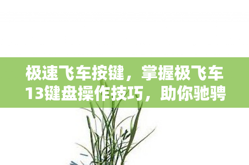极速飞车按键，掌握极飞车13键盘操作技巧，助你驰骋赛道