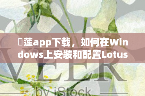 蓅莲app下载，如何在Windows上安装和配置Lotus Notes