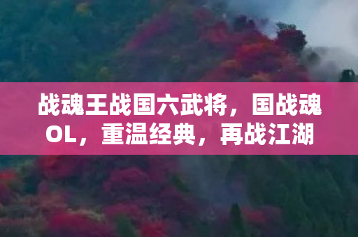 战魂王战国六武将，国战魂OL，重温经典，再战江湖