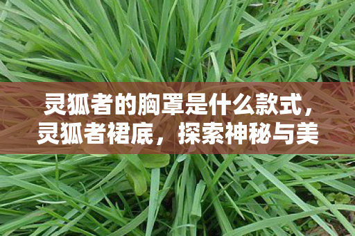 灵狐者的胸罩是什么款式,灵狐者裙底,探索神秘与美丽的交界 灵狐者的胸罩是什么款式,灵狐者裙底,探索神秘与美丽的交界